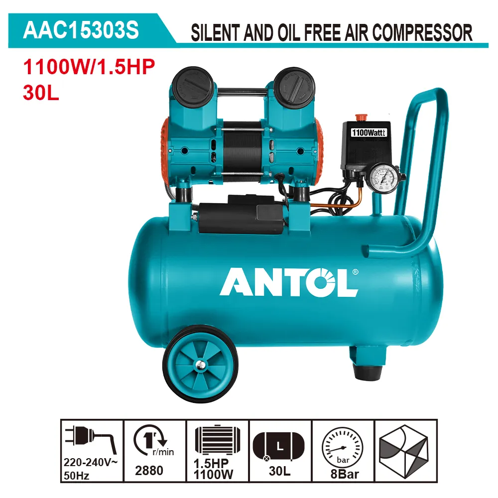AAC15303S